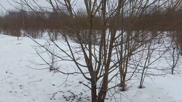 Как заработать 10000 рублей за день. смотреть онлайн