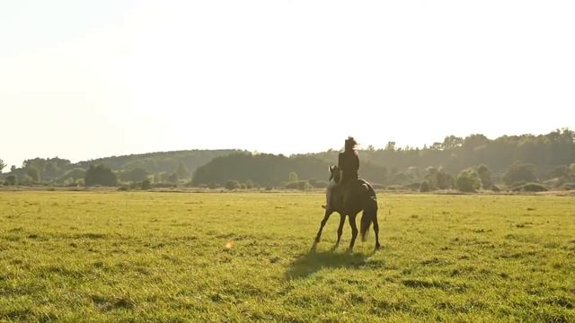 Вот она, настоящая свобода смотреть онлайн