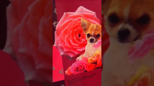 Дорогой длинною . смотреть онлайн