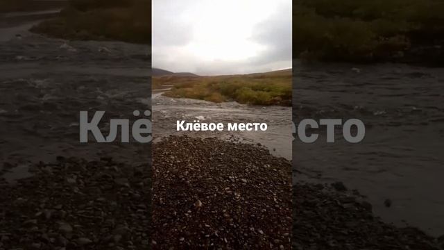 последний раз в 2022 смотреть онлайн