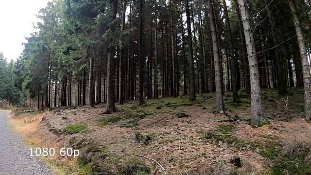 GoPro 8 тест стабилизации.