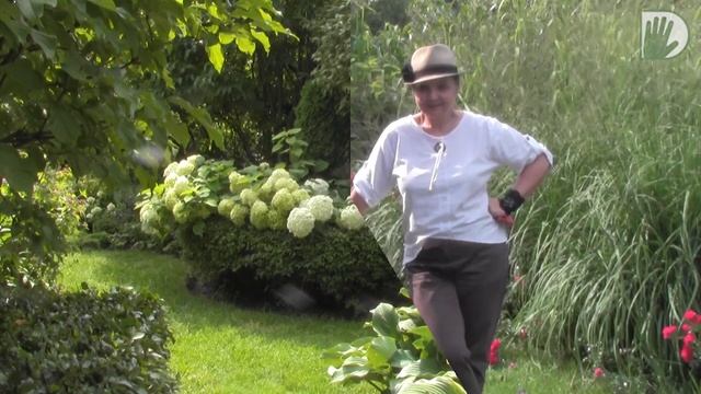 Видео журнал «Сады в отличной форме №29» Авторский сад ландшафтного дизайнера Екатерины Локшиной.