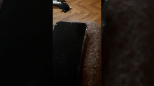Новый развод золото, палладий, а Бузкойнов нет!!! смотреть онлайн