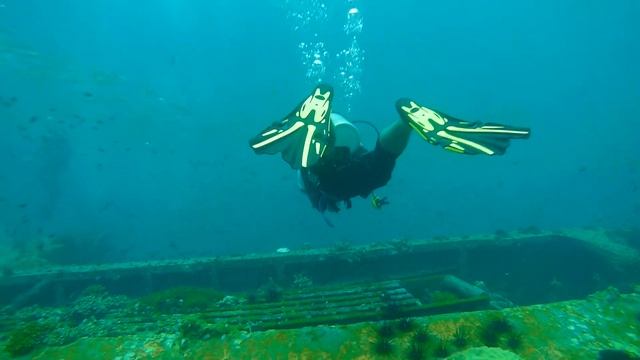 Mares Volo Race (Sugar Wreck Perhentian Malaysia)