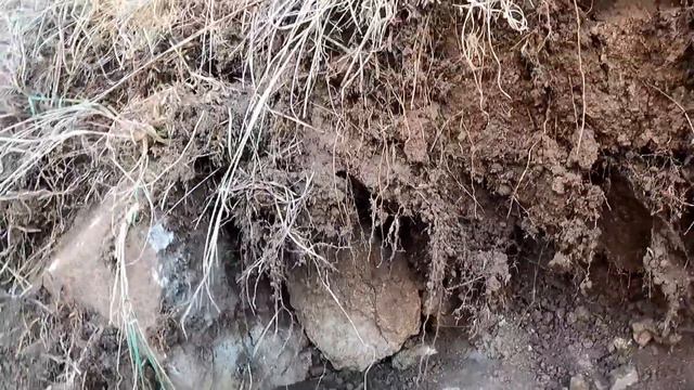 Metal dedektörü ile çok değerli hazineyi bulma anı смотреть онлайн