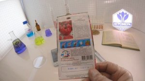 Томат Кукла Маша F1. СеДеК