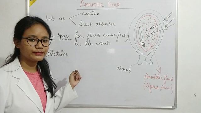 Amniotic Fluid || Function || Composition || Amount of amniotic fluid at different POG смотреть онлайн