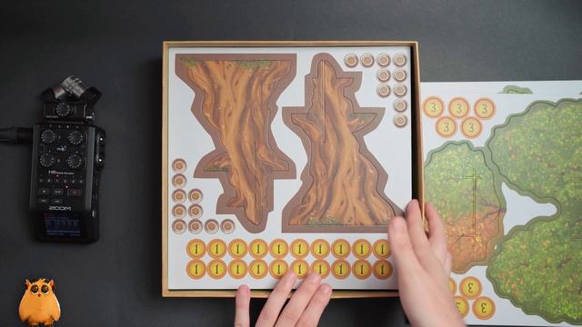 Everdell | ASMR New Tabletop Game Unboxing #asmr #tabletop #everdell #starlinggames смотреть онлайн