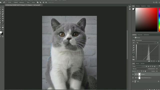 Фото и видео уроки для телефонов
