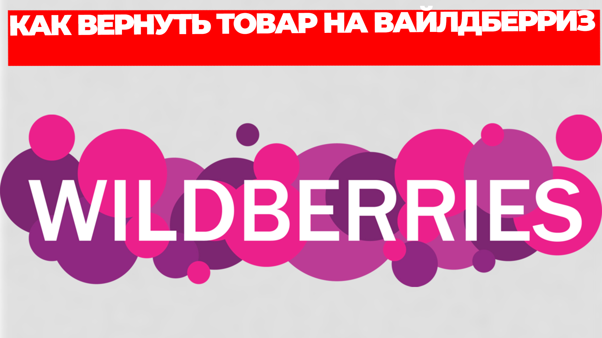 Всезнающий Енот