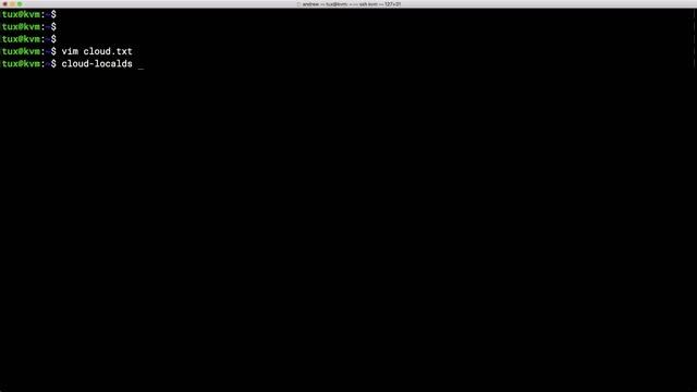 Using Cloud Images with Ubuntu 18 04 KVM Host смотреть онлайн