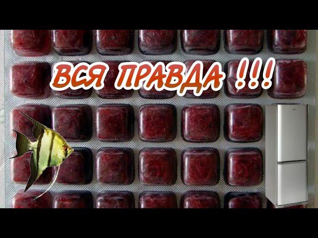 ВСЯ ПРАВДА О ЗАМОРОЖЕННОМ КОРМЕ ДЛЯ АКВАРИУМНЫХ РЫБОК смотреть онлайн