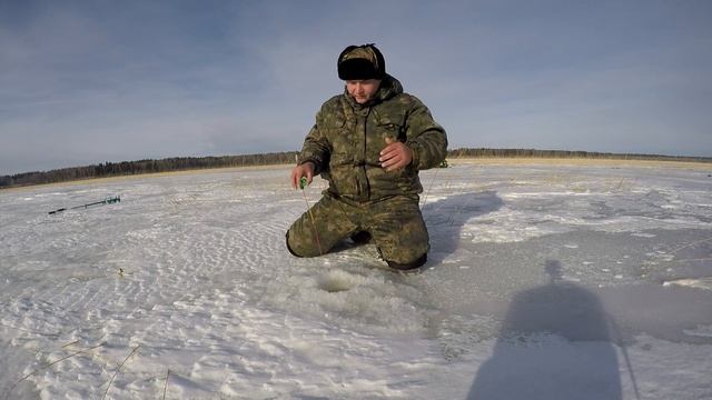 ЛОВЛЯ КРУПНОГО РОТАНА НА РИСОВОМ ОЗЕРЕ! Ловля Ротана. Зимняя рыбалка смотреть онлайн