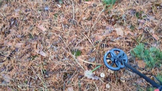 Тест на полигоне - Minelab Equinox 800 (6