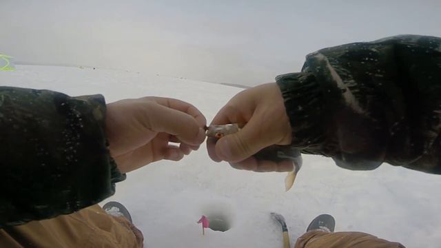 Белоярка рыбалка 09.02.22г смотреть онлайн