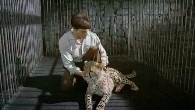 Siegfried And Roy - The Magic Box смотреть онлайн
