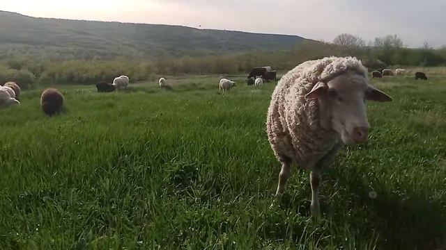 17 апреля 2024 г..mp4 смотреть онлайн