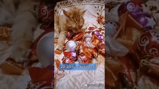 #мейкун смотреть онлайн