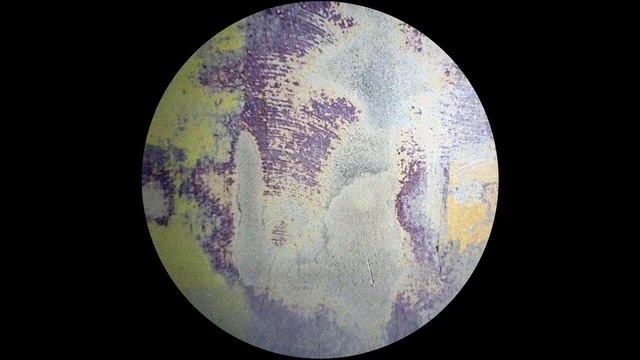 Alternative Civil Servant -- Bowed Philosophy смотреть онлайн