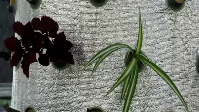 Аэропоника своими руками 3 Aeroponics own hands 3 смотреть онлайн