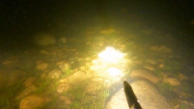 оз. Воробьево, Ленинградская область, подводная съемка. смотреть онлайн