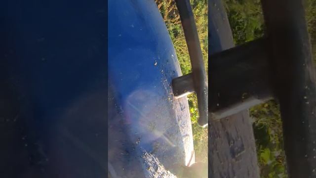 Минитрактор Forte RD 244 Люкс забивает бурьян по картошке смотреть онлайн