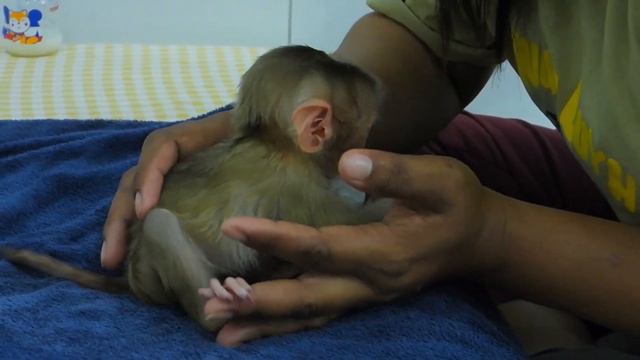 Mom Cleaning Body For Tiny Valen After Drink Milk смотреть онлайн