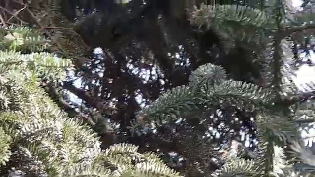 Крым. Партенит. 31 марта 2022 смотреть онлайн