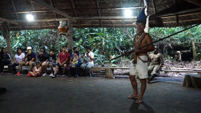 TOUR AL AMAZONAS, VISITAMOS LA SELVA SECUNDARIA DE ECUADOR | 4K | смотреть онлайн