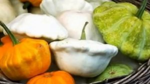 Как выращивать патиссоны