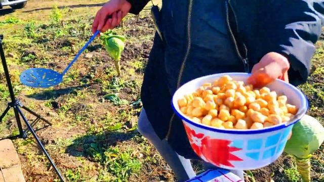 Веганская Кухня: Идеи и Рецепты