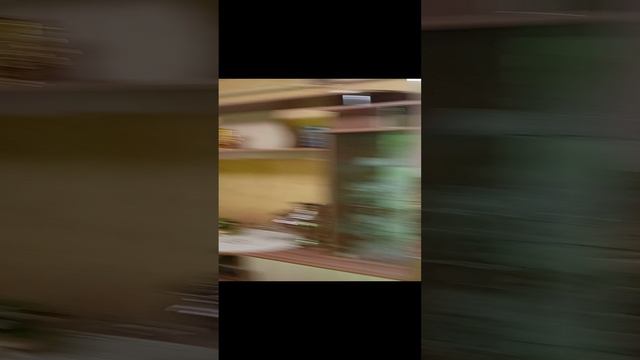 11296209 с.Засосна Красногвардейский р-он Белгородской обл (контакт: 89102267717 Ирина Борисовна) смотреть онлайн