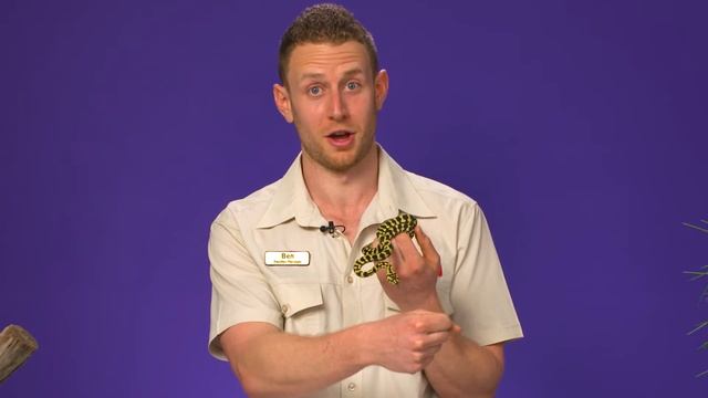 Python bite! смотреть онлайн