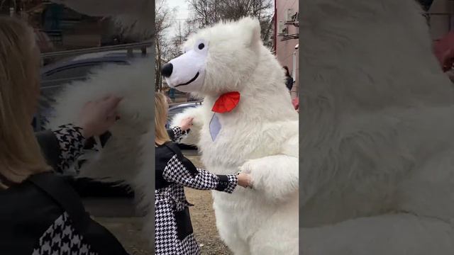 Милый сюрприз. Поздравление от белого медведя Москва смотреть онлайн