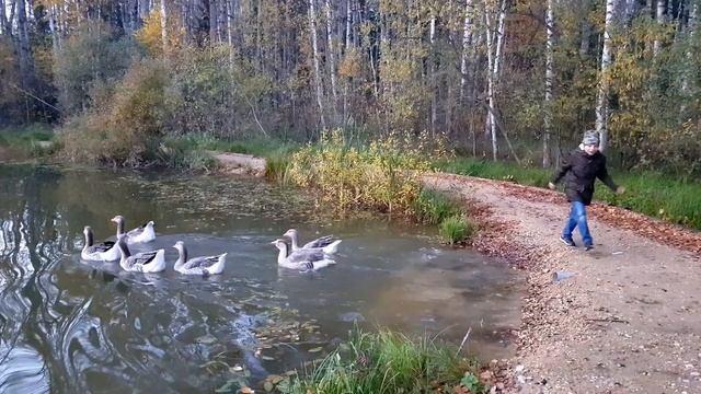 Моя осень. Мои каникулы. Роберт, 1 класс смотреть онлайн