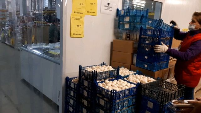 Магазин "Светофор". Новый обзор смотреть онлайн