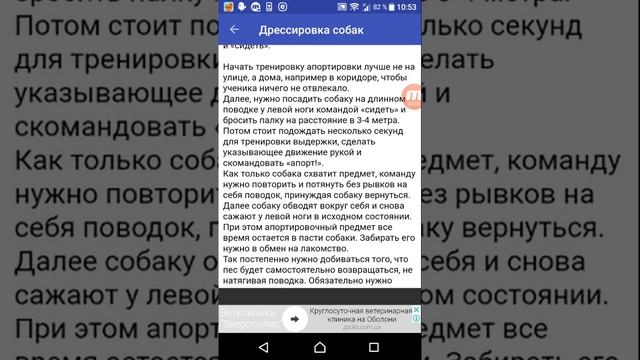 Как научить собачку приносить палку? Дрессировка собак! ? ? ? смотреть онлайн