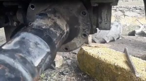 Передний мост. Редуктор. Восстановление МТЗ.320  (часть  2)