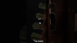 Science Experiment | #shorts #experiment #scienceexperiment