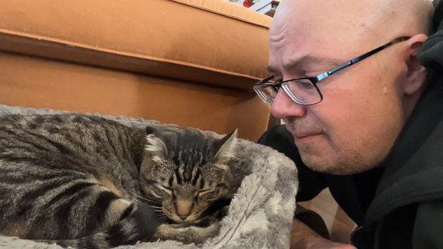 Sonnet 97 by William Shakespeare With A Cat смотреть онлайн