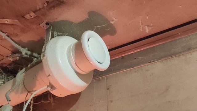 зимнее содержание перепелов. личный опыт. первая зима смотреть онлайн