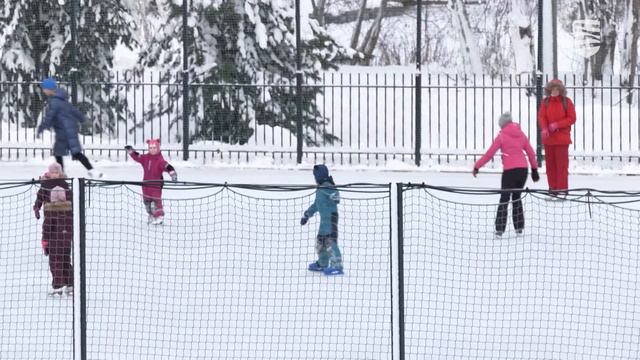 Таллинн дарит жителям столицы зимнюю сказку смотреть онлайн