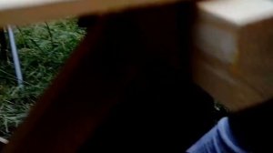 Нахимовское озеро(невошедшее).Съемки Сергея.