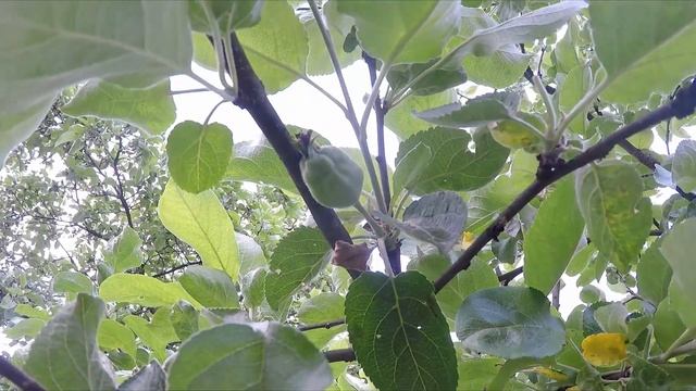 СКОРО БУДЕТ ГАЗ: подготовка траншеи под газопровод