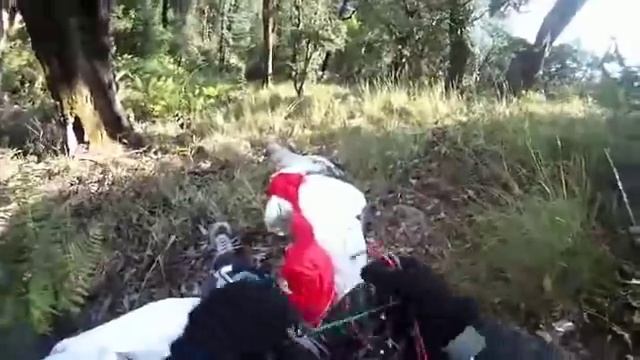 Орел врезался в параплан смотреть онлайн
