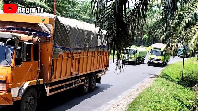 Truck Oleng Serempet Truck Fuso❗Kabin Trailer Kontainer Bergetar Gagal Menanjak