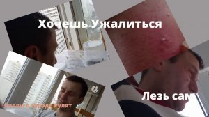 Пчелы пчелиная семья на балконе.Хочешь ужалиться лезь сам..