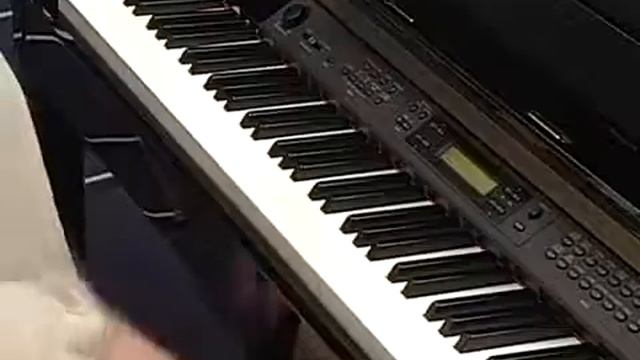 Đàn Piano Yamaha Clavinova CLP 330 смотреть онлайн