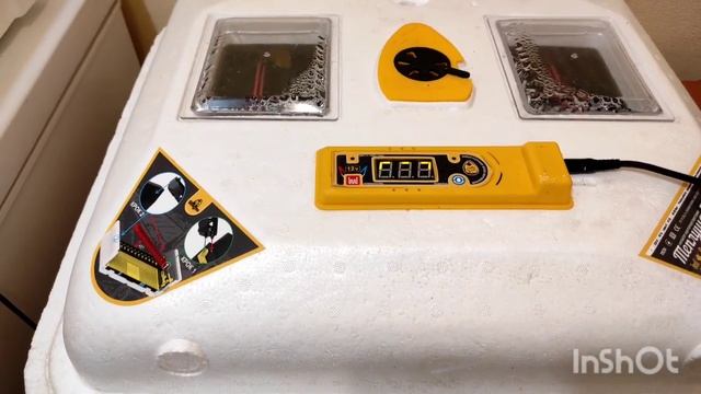 ЦЫПЛЯТА ИЗ ЗАМОРОЖЕНЫХ ЯИЦ! НЕДЕЛЮ НЕБЫЛО СВЕТА, А ОНИ ВЫЛУПЛЯЮТСЯ! КАКИЕ ОНИ И ЧТО С ЭТОГО БУДЕТ?? смотреть онлайн