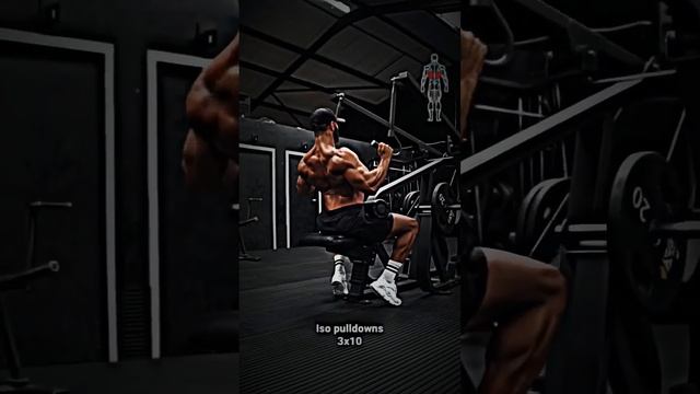 Сохрани в закладки что бы не потерять #спина #широчайшие